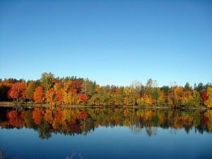 Lac en automne