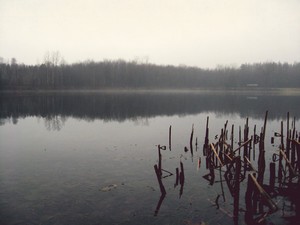 Lac brumeux